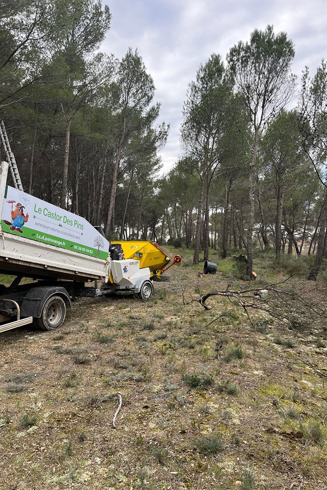 Le Castor des Pins : Votre expert jardinier paysagiste à Cuges-les-Pins