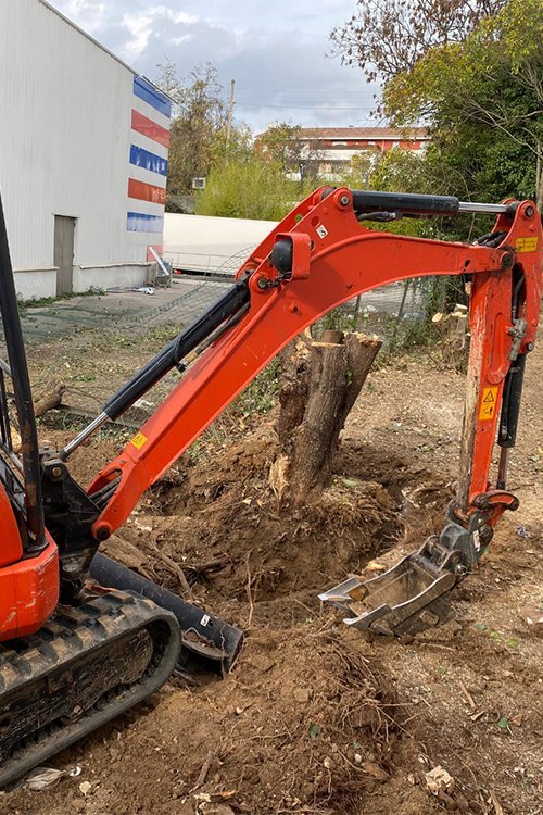 Le Castor des Pins : Votre expert jardinier paysagiste à Cuges-les-Pins